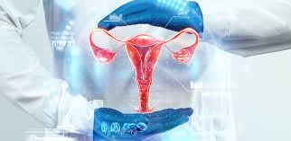 Gynaecology consultation